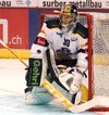 Monarchshockey Club